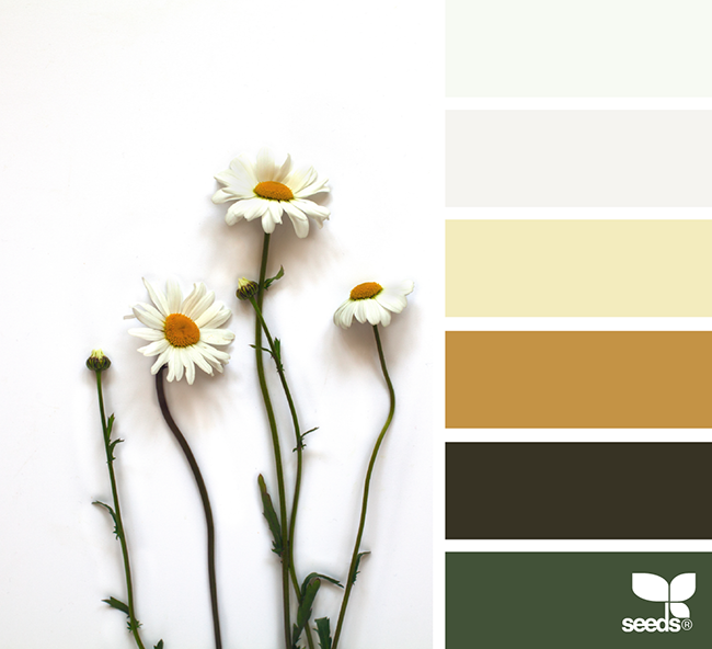 sejaautentica-cores-decor-inspiracao-Luciana-Caram-Design-Seeds-003