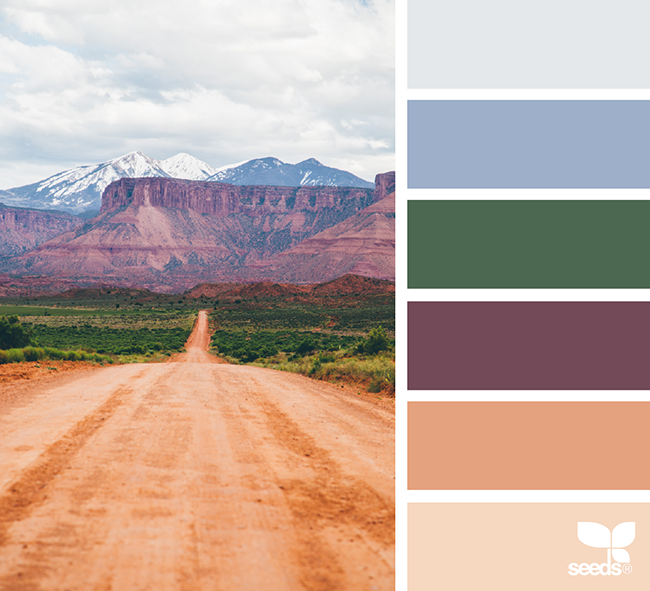 sejaautentica-cores-decor-inspiracao-Luciana-Caram-Design-Seeds-004