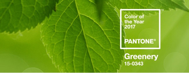 Pantone_Color_of_the_Year_2017_Luciana-Caram-sejaautentica