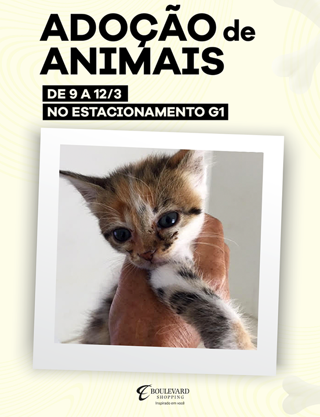 boulevard-shopping-bh-pet-friendly-Luciana-Caram-sejaautentica-001